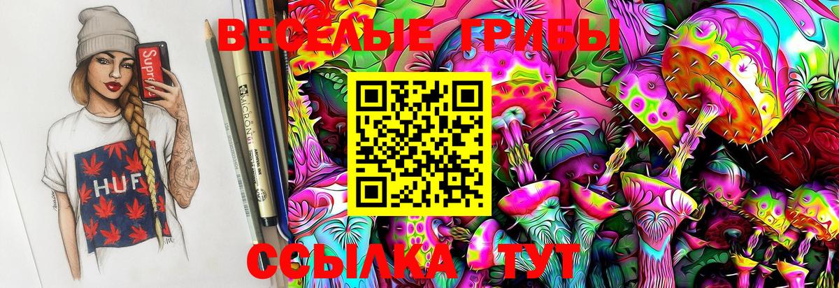 Галлюциногенные грибы Magic Shrooms  Вход с VPN  Урус-Мартан 